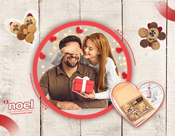 día del amor y la amistad con noel